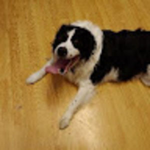 Meet your Posher, Thomas